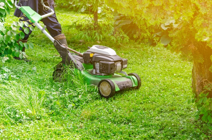 Scène extérieure de jardinage avec personne utilisant une tondeuse à gazon thermique sur pelouse verdoyante