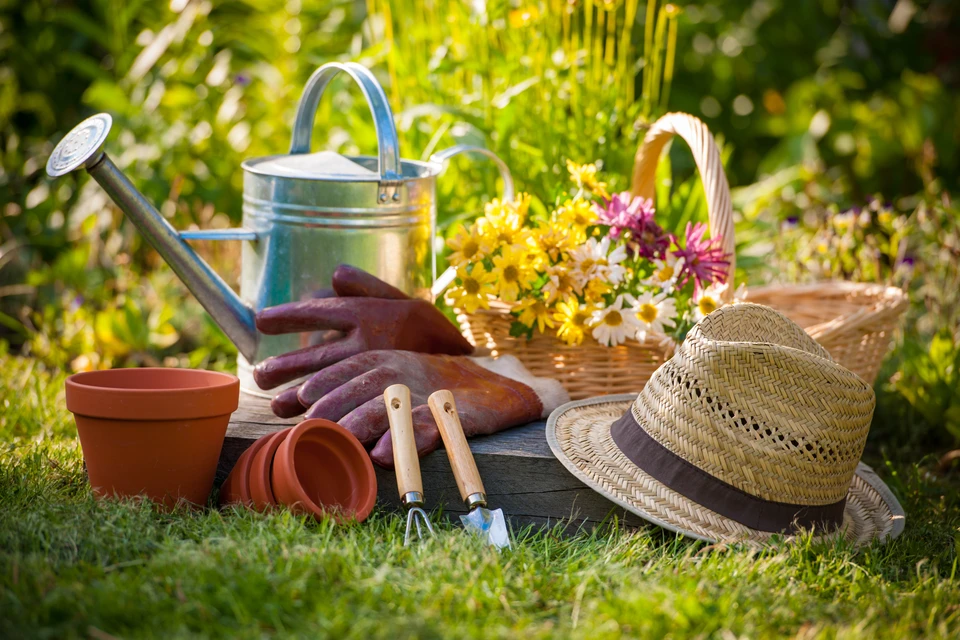 Scène extérieure de jardinage sur pelouse avec équipement horticole disposé sur table en bois