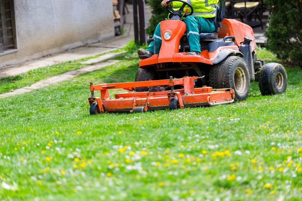 Une personne exploite une tondeuse à gazon rouge, coupant de l'herbe verte luxuriante dans un environnement résidentiel