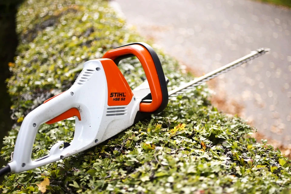 Scène extérieure de jardinage avec personne portant gants noirs utilisant sécateur électrique sur branche d'arbre