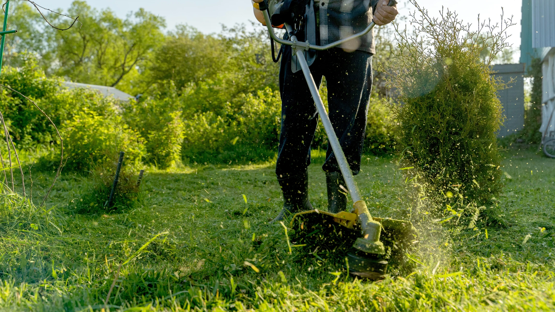 Deux ouvriers équipés de débroussailleuses thermiques travaillent dans une prairie herbeuse bordée d'arbres