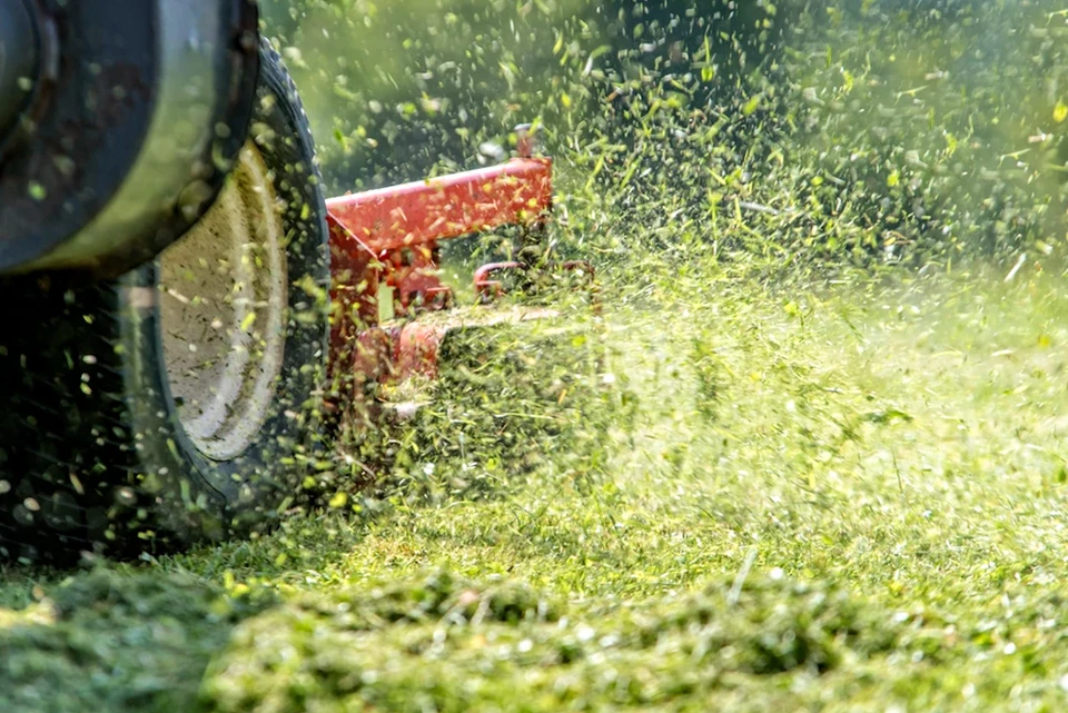 Scène extérieure de tonte de pelouse avec tondeuse électrique verte en action sur gazon dense et verdoyant par temps ensoleillé