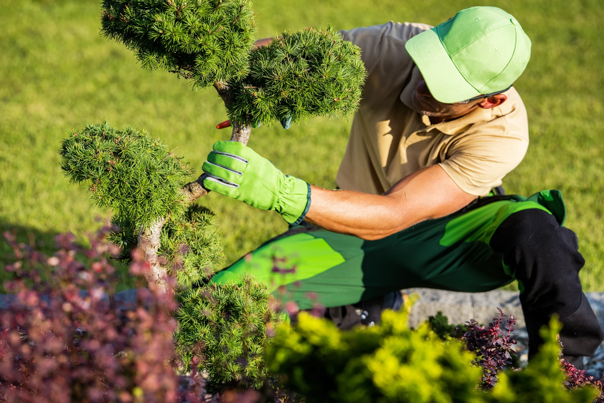Scène extérieure de tonte de pelouse dans un jardin résidentiel avec espaces verts entretenus et végétation d'arrière-plan