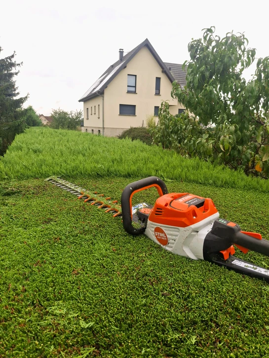 Scène extérieure de jardinage avec personne portant gants noirs utilisant sécateur électrique sur branche d'arbre